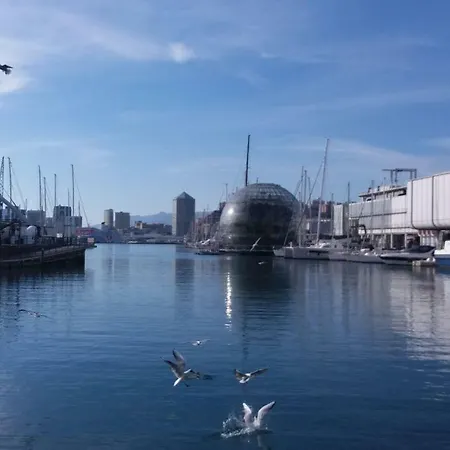The In * Genoa